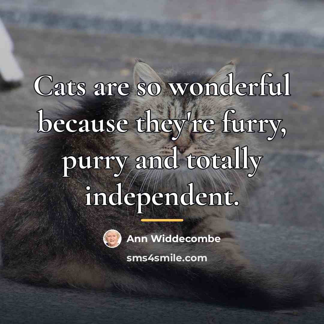 “Cats are so wonderful because they're furry, purry and totally…” quote by Ann Widdecombe