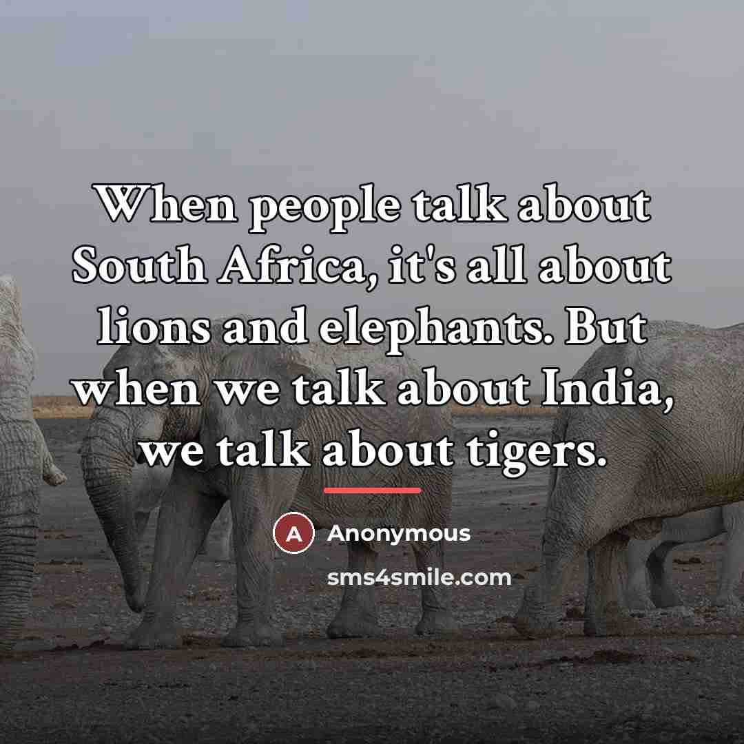 “When people talk about South Africa, it's all about lions…” quote by Anonymous