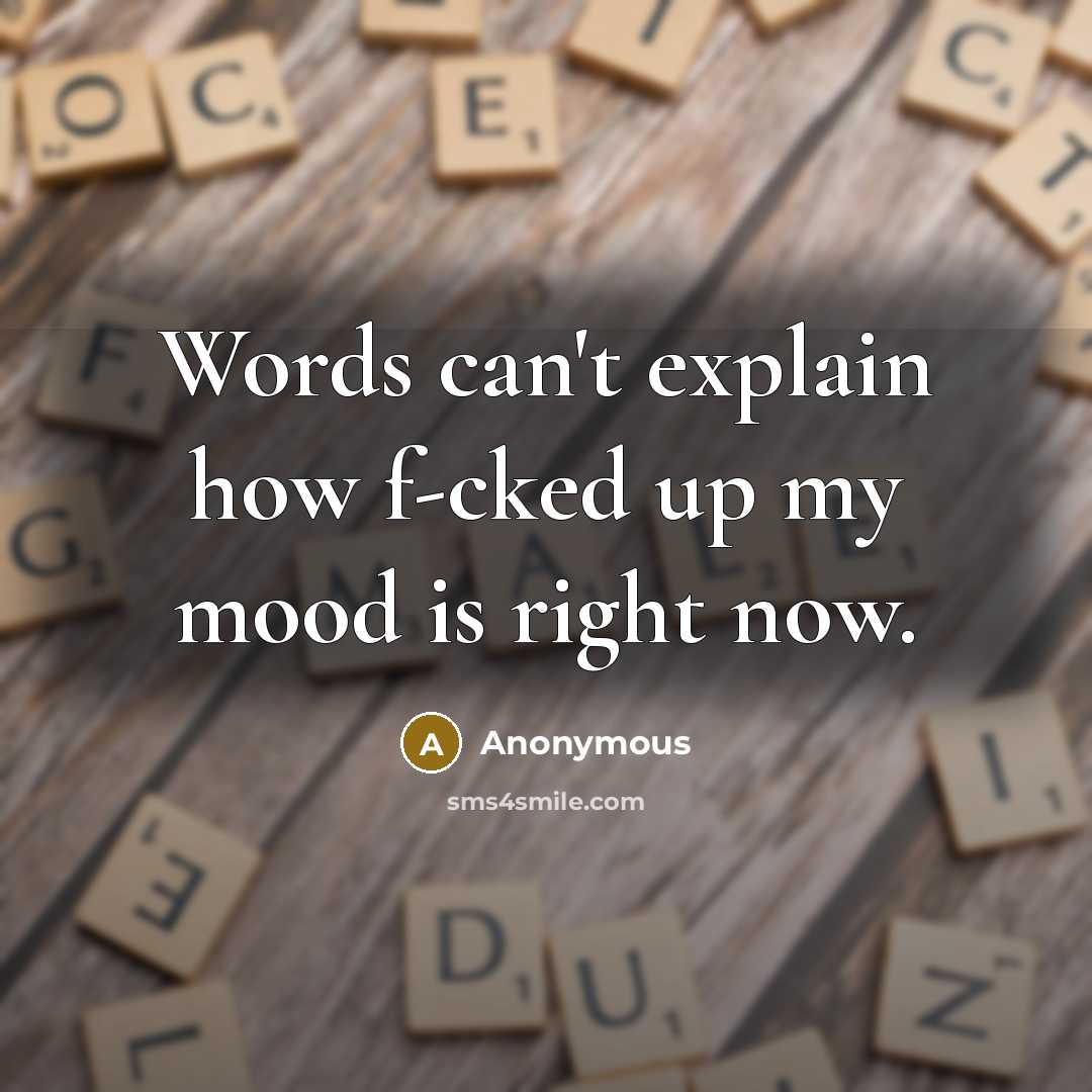 “Words can't explain how f-cked up my mood is right…” quote by Anonymous