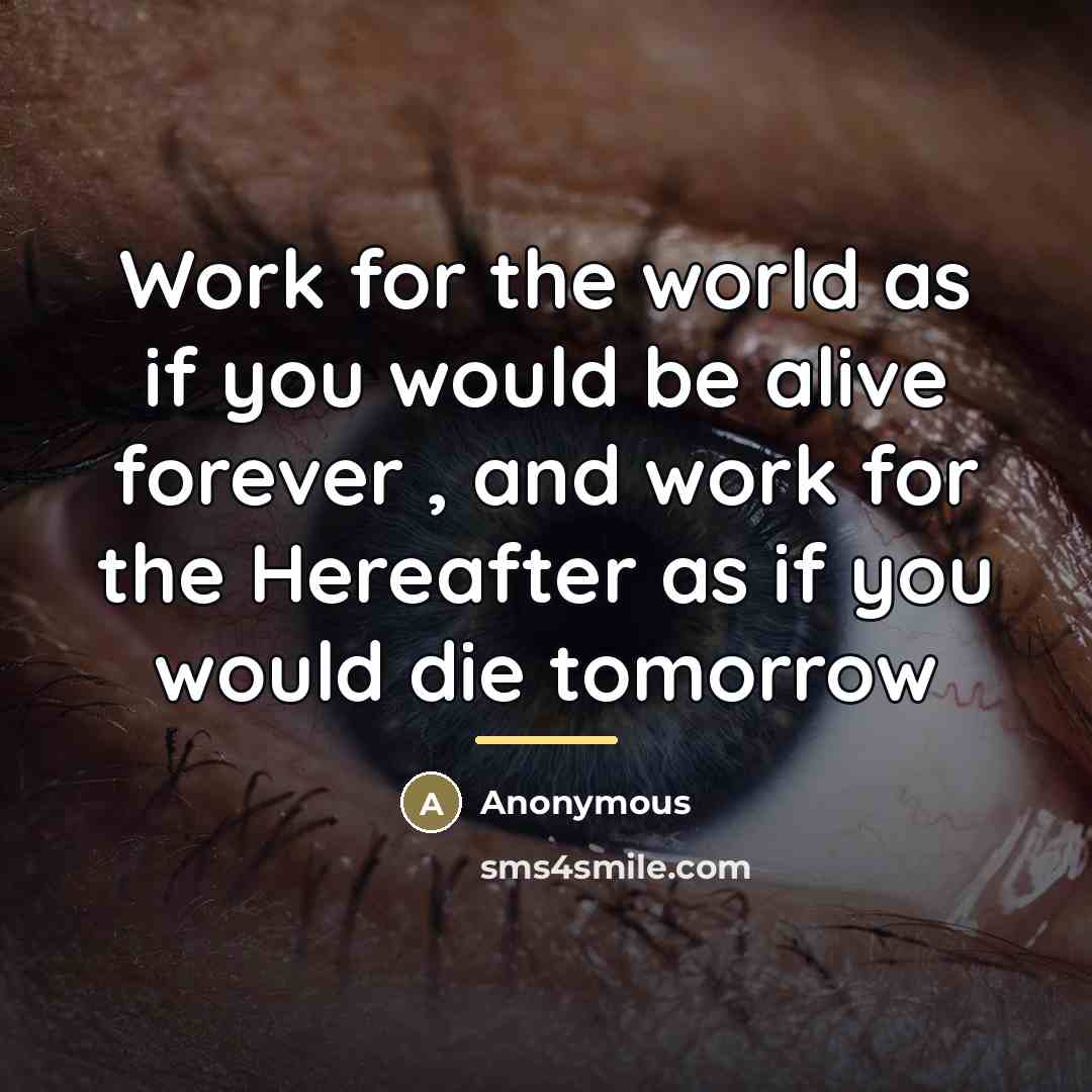 “Work for the world as if you would be alive…” quote by Anonymous