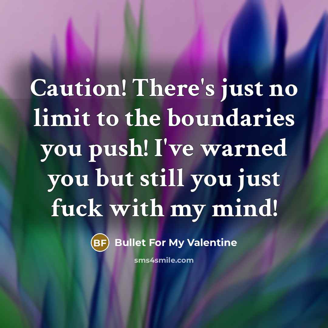 “Caution! There's just no limit to the boundaries you push!…” quote by Bullet For My Valentine