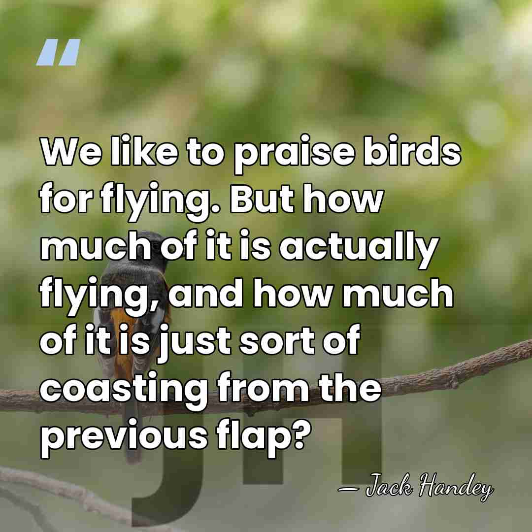 We like to praise birds for flying. But how much of it&hellip; - Jack Handey