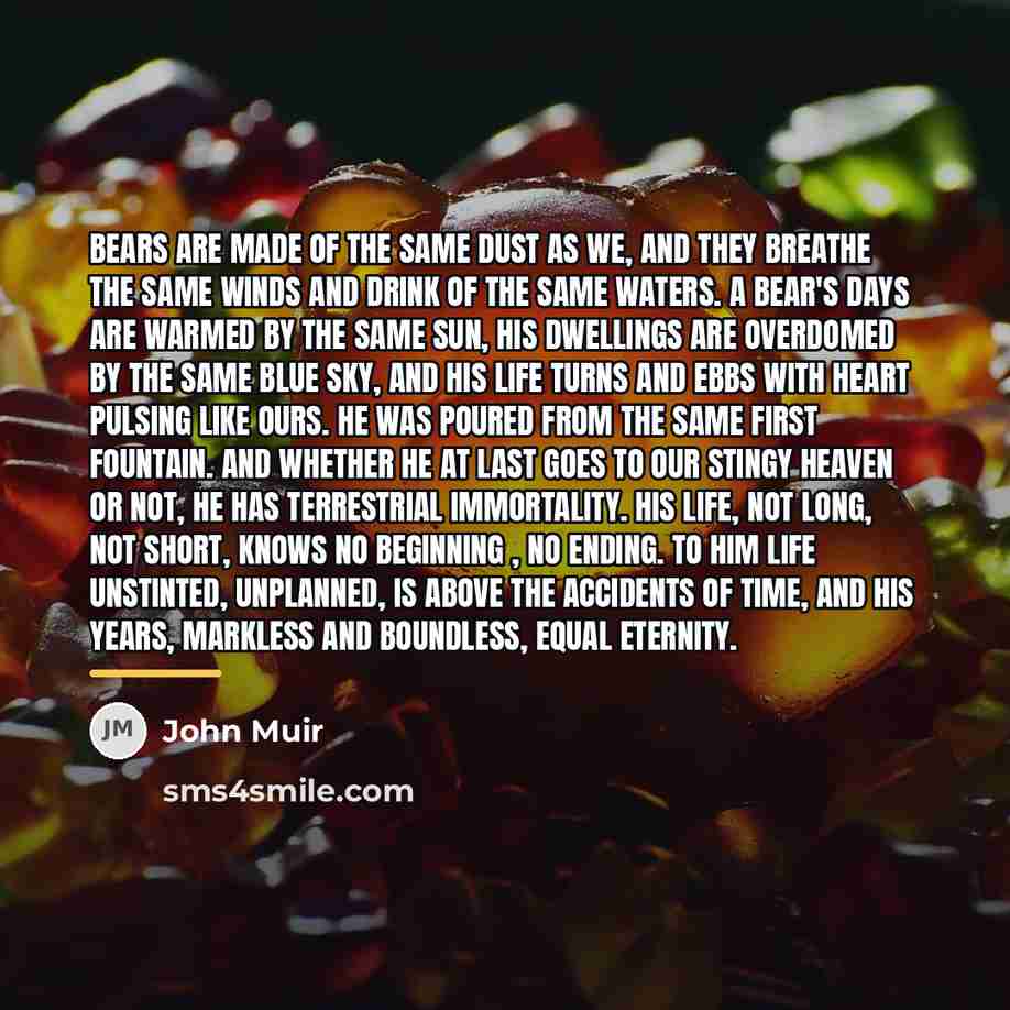 “Bears are made of the same dust as we, and…” quote by John Muir