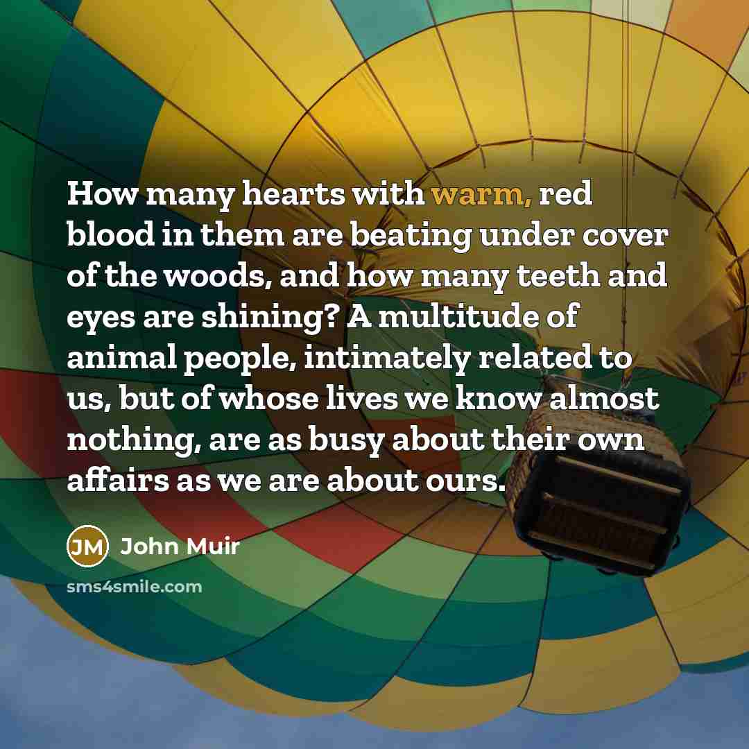“How many hearts with warm, red blood in them are…” quote by John Muir