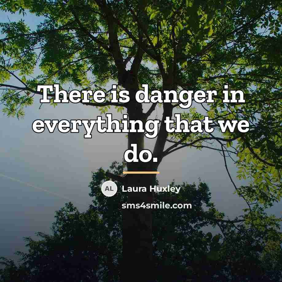 “There is danger in everything that we do.…” quote by Laura Huxley