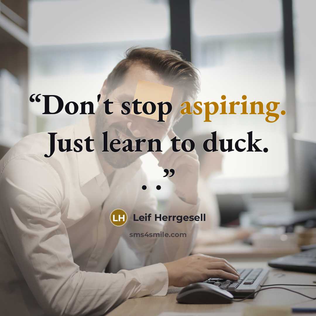 “Don't stop aspiring. Just learn to duck. . .” quote by Leif Herrgesell