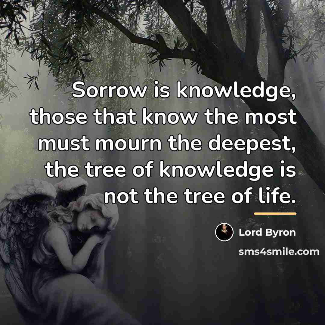 “Sorrow is knowledge, those that know the most must mourn…” quote by Lord Byron