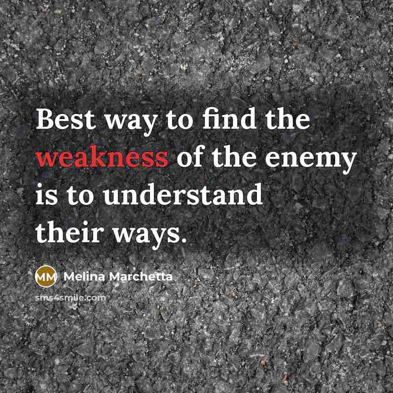“Best way to find the weakness of the enemy is…” quote by Melina Marchetta