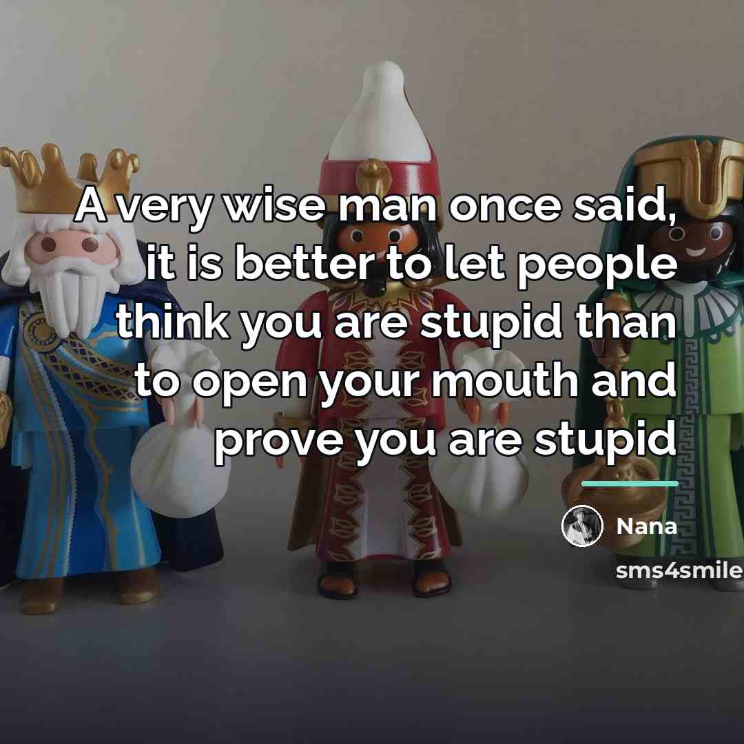 “A very wise man once said, it is better to…” quote by Nana