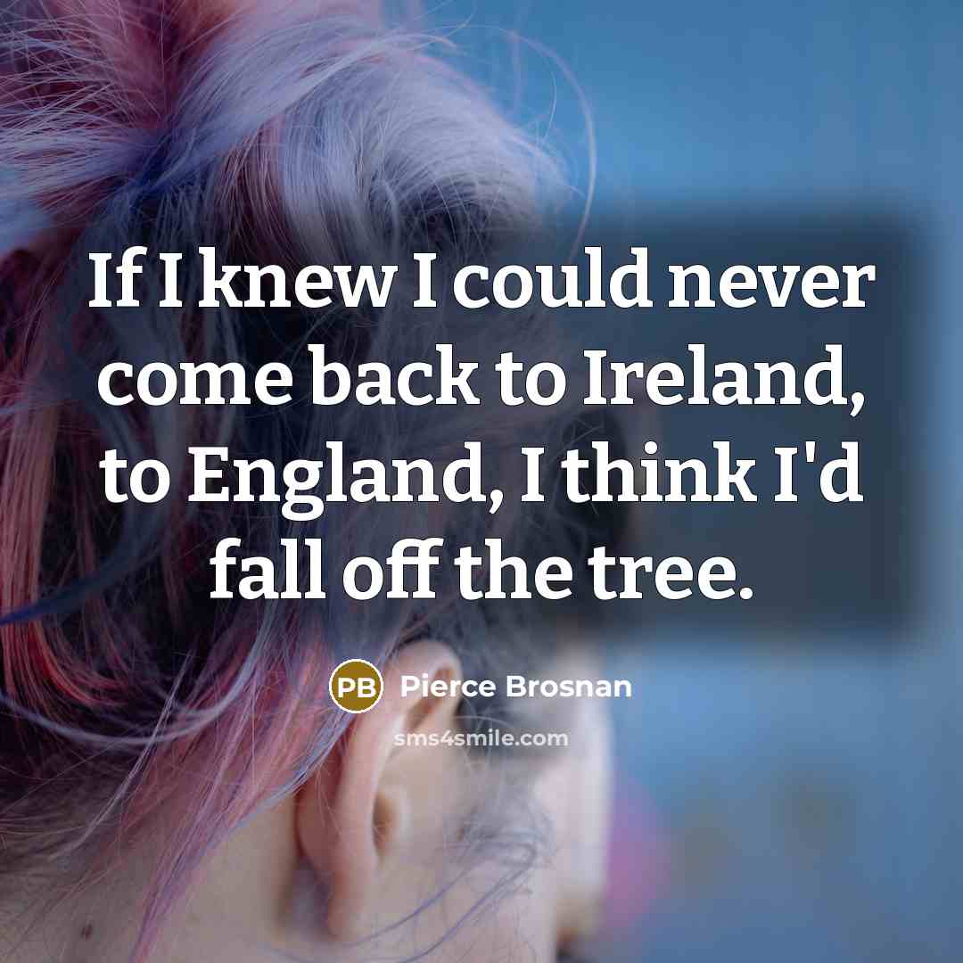“If I knew I could never come back to Ireland,…” quote by Pierce Brosnan