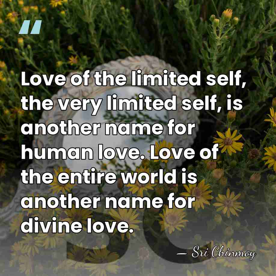 Love of the limited self, the very limited self, is another name&hellip; - Sri Chinmoy