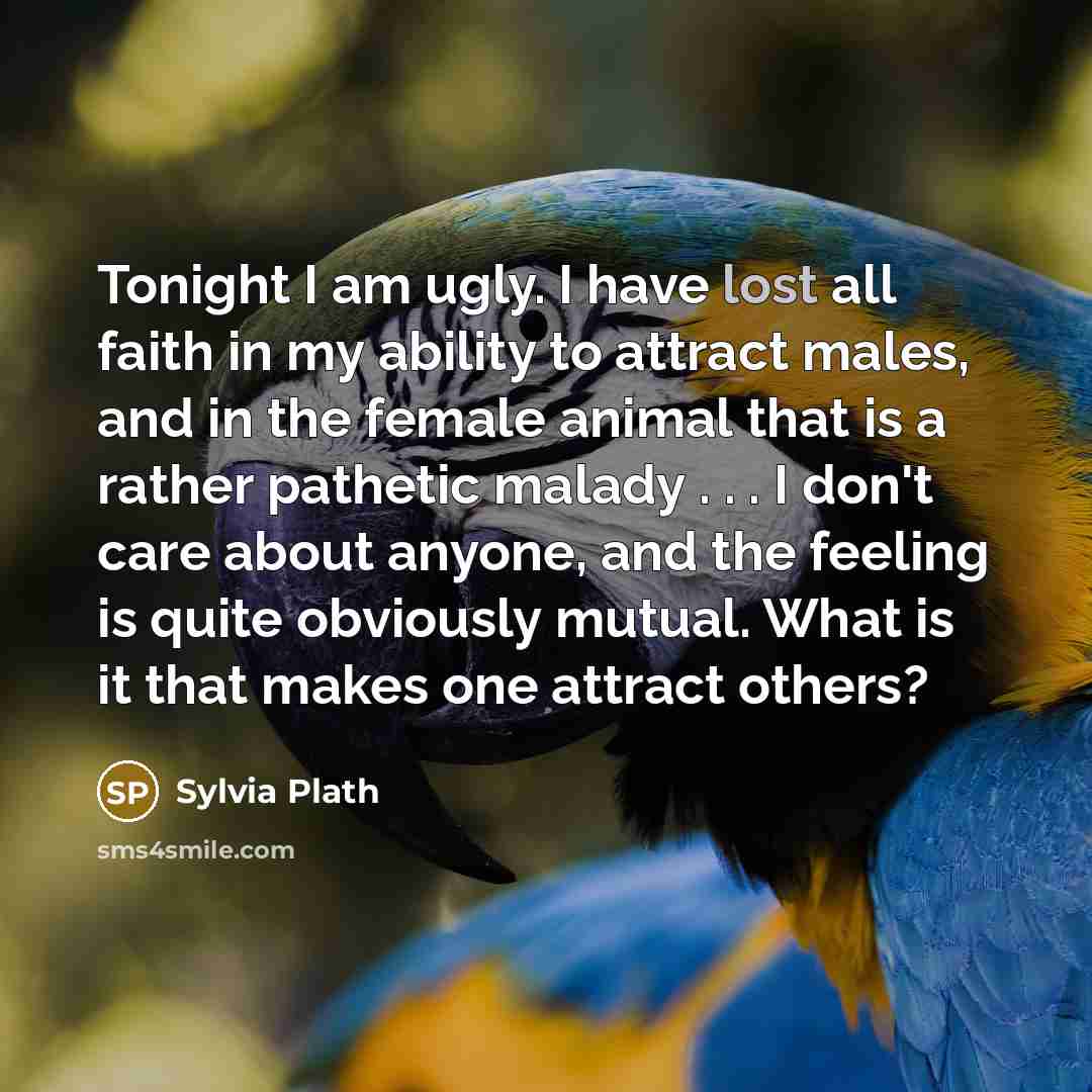 “Tonight I am ugly. I have lost all faith in…” quote by Sylvia Plath
