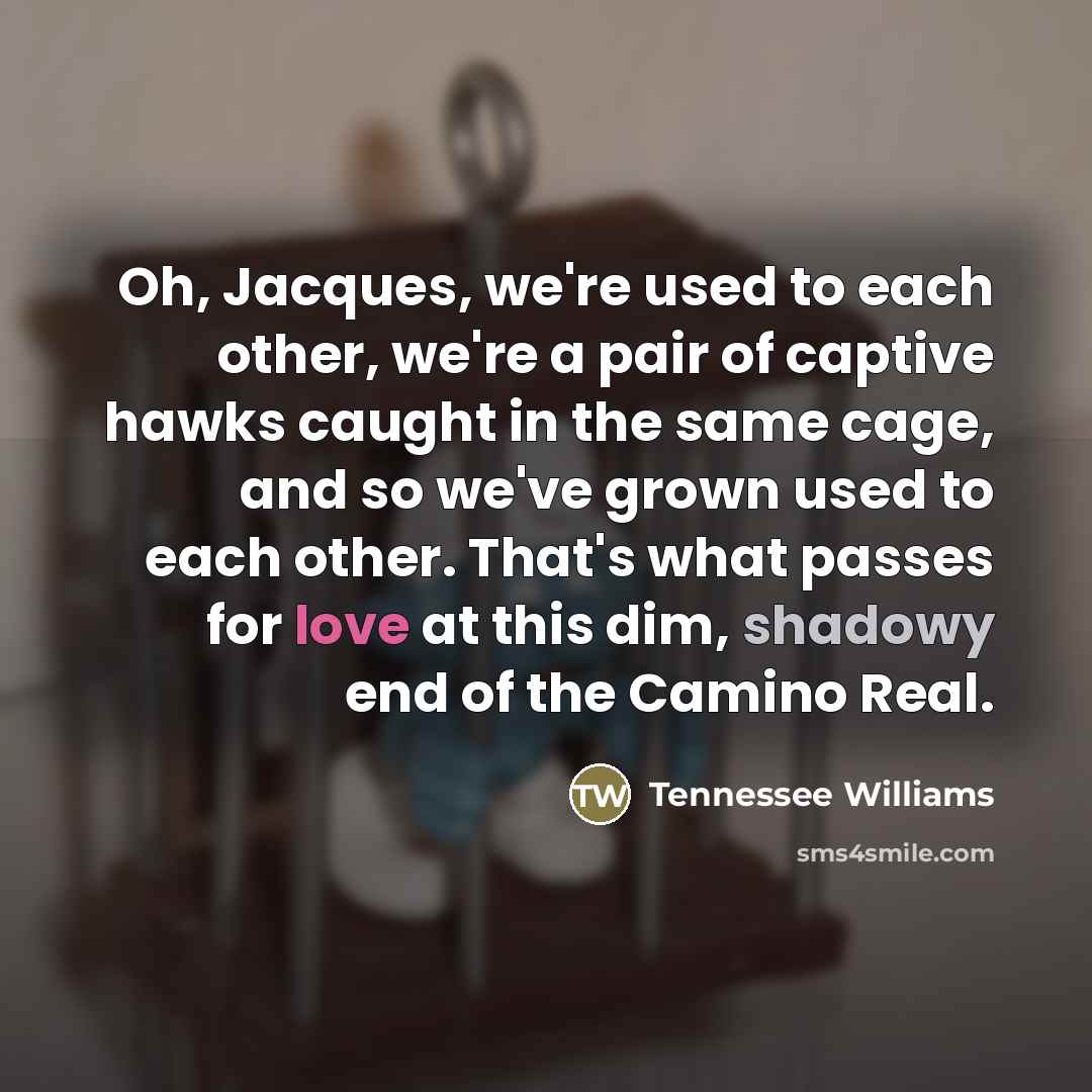“Oh, Jacques, we're used to each other, we're a pair…” quote by Tennessee Williams
