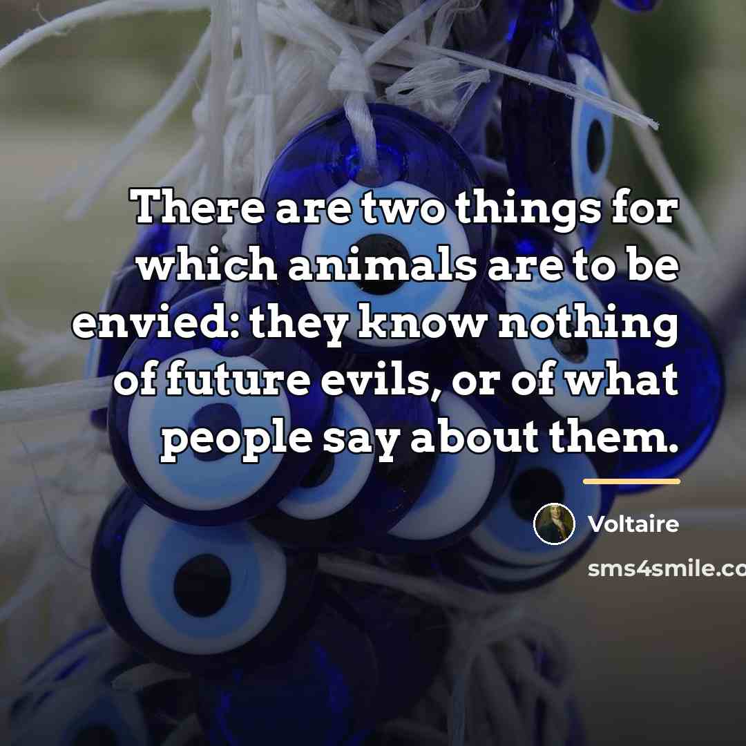 “There are two things for which animals are to be…” quote by Voltaire