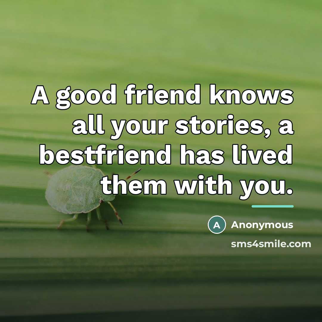 “A good friend knows all your stories, a bestfriend has…” quote by Anonymous