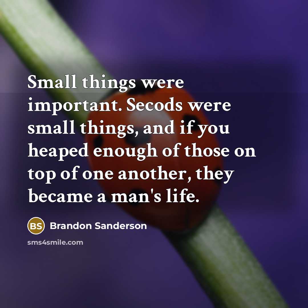 “Small things were important. Secods were small things, and if…” quote by Brandon Sanderson