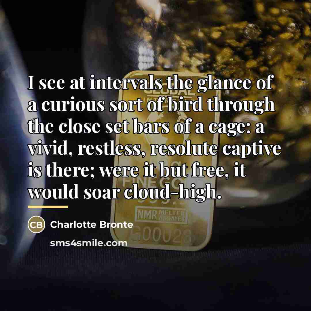 “I see at intervals the glance of a curious sort…” quote by Charlotte Bronte