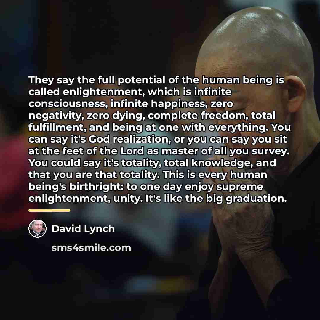 “They say the full potential of the human being is…” quote by David Lynch