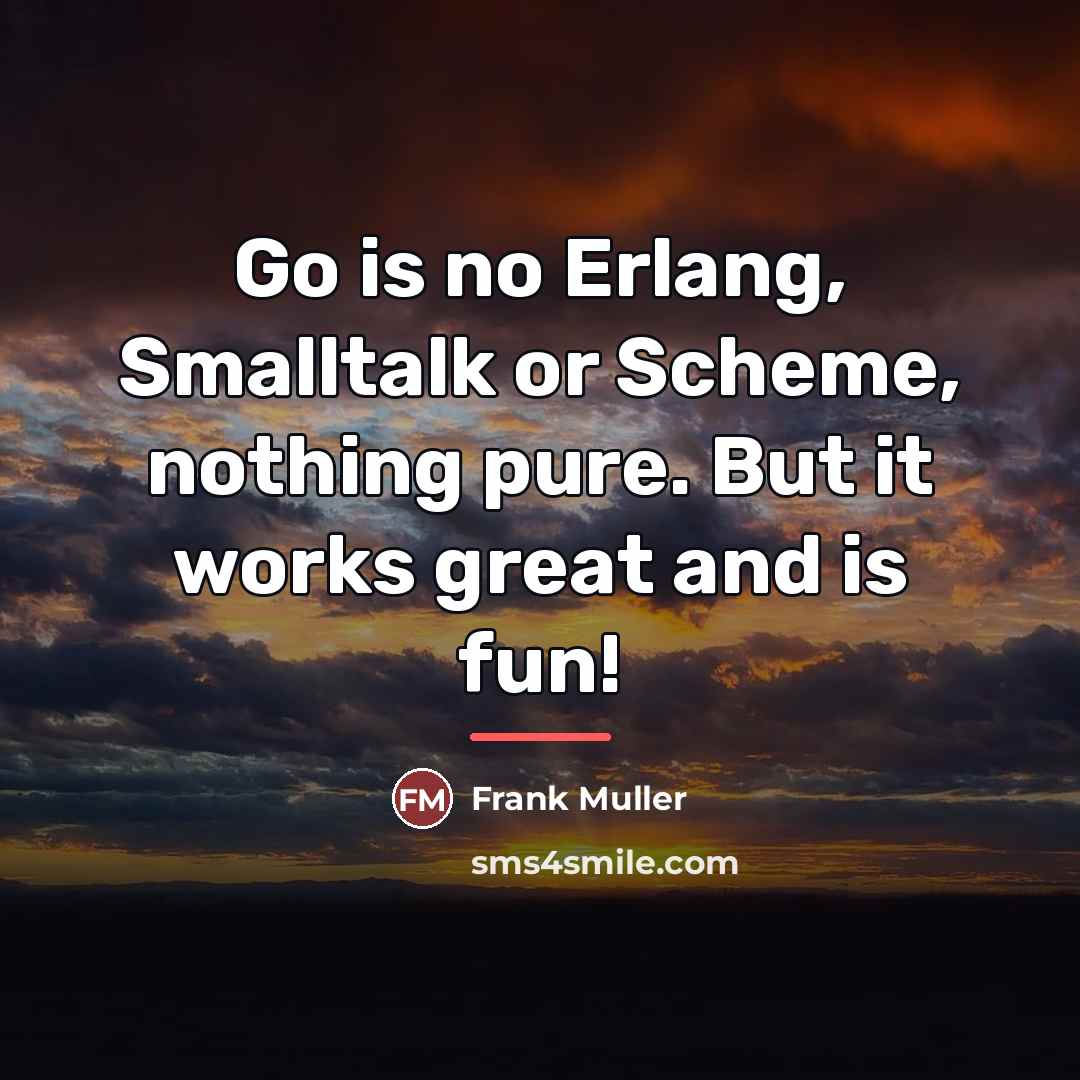 “Go is no Erlang, Smalltalk or Scheme, nothing pure. But…” quote by Frank Muller