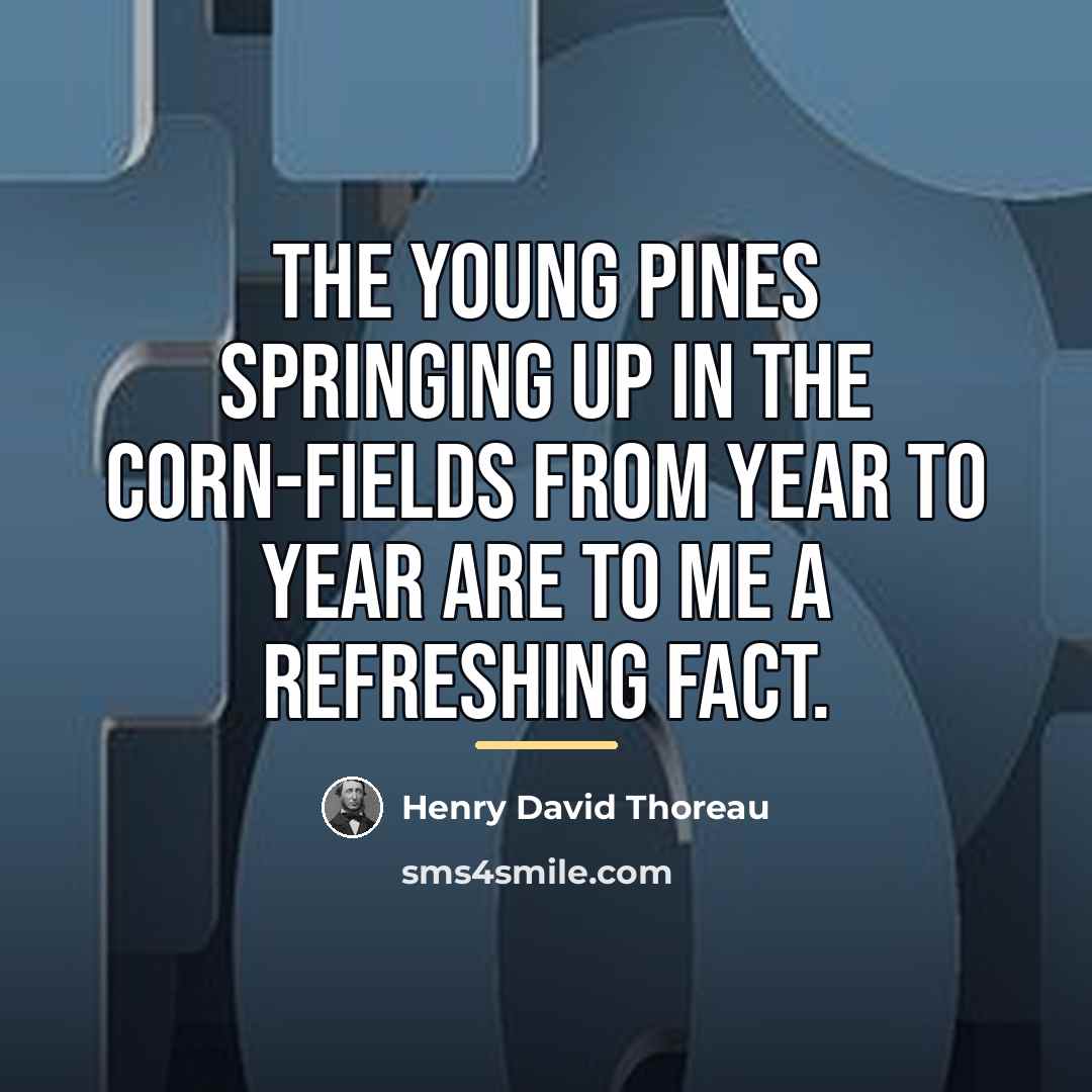 “The young pines springing up in the corn-fields from year…” quote by Henry David Thoreau