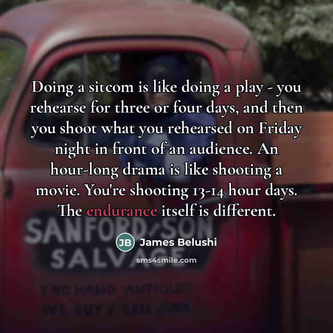 “Doing a sitcom is like doing a play - you…” quote by James Belushi