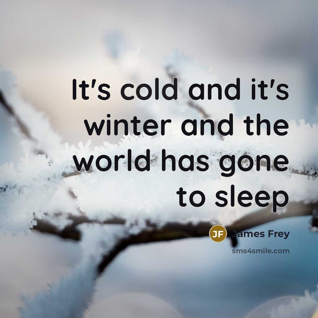 “It's cold and it's winter and the world has gone…” quote by James Frey