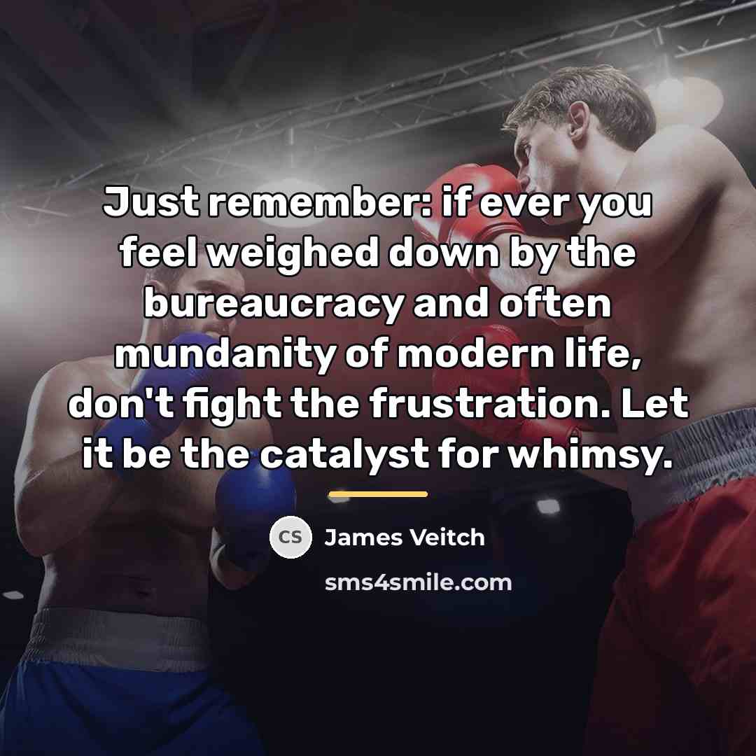 “Just remember: if ever you feel weighed down by the…” quote by James Veitch