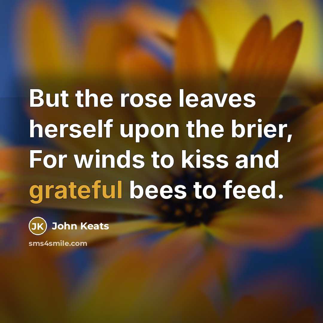 “But the rose leaves herself upon the brier, For winds…” quote by John Keats