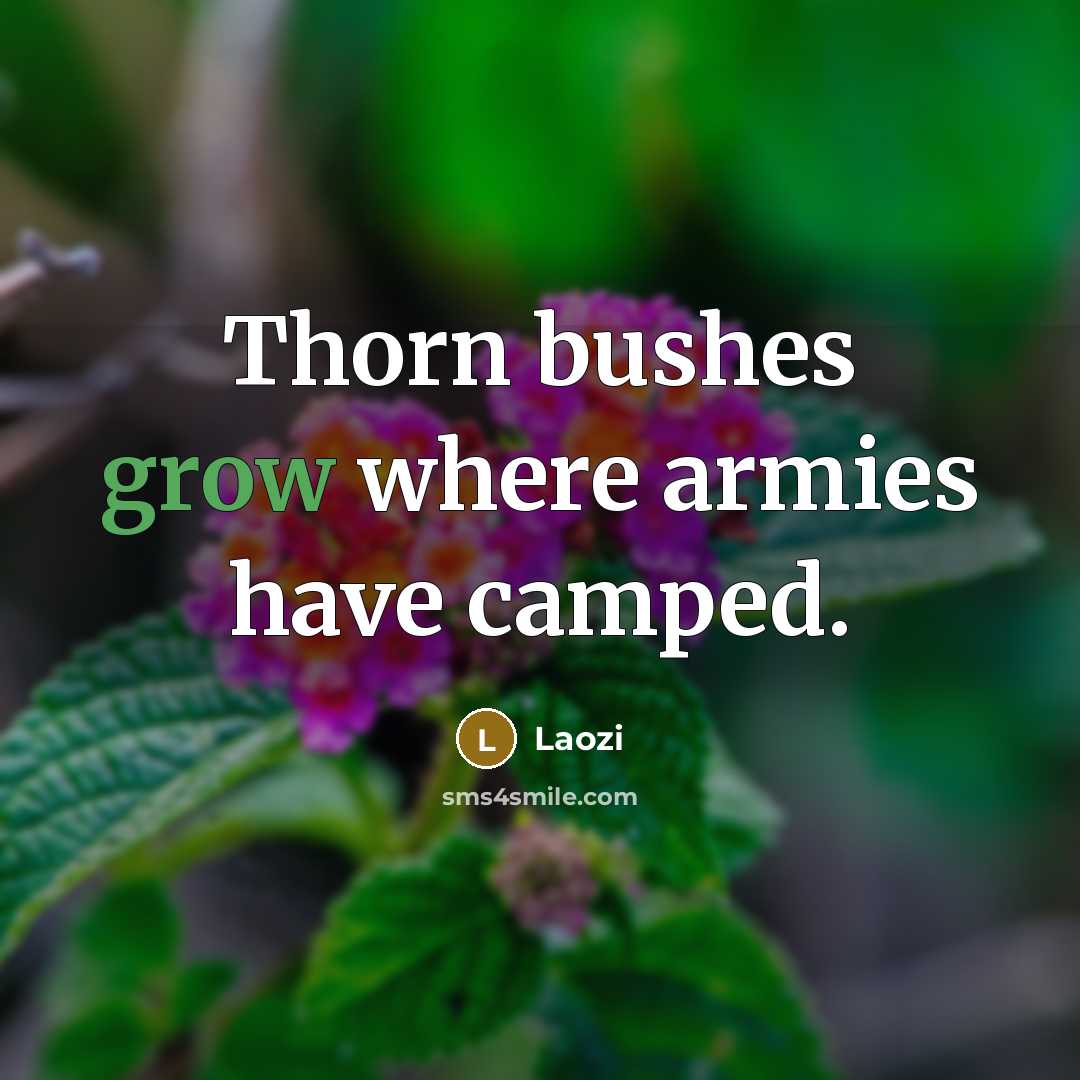 “Thorn bushes grow where armies have camped.…” quote by Laozi