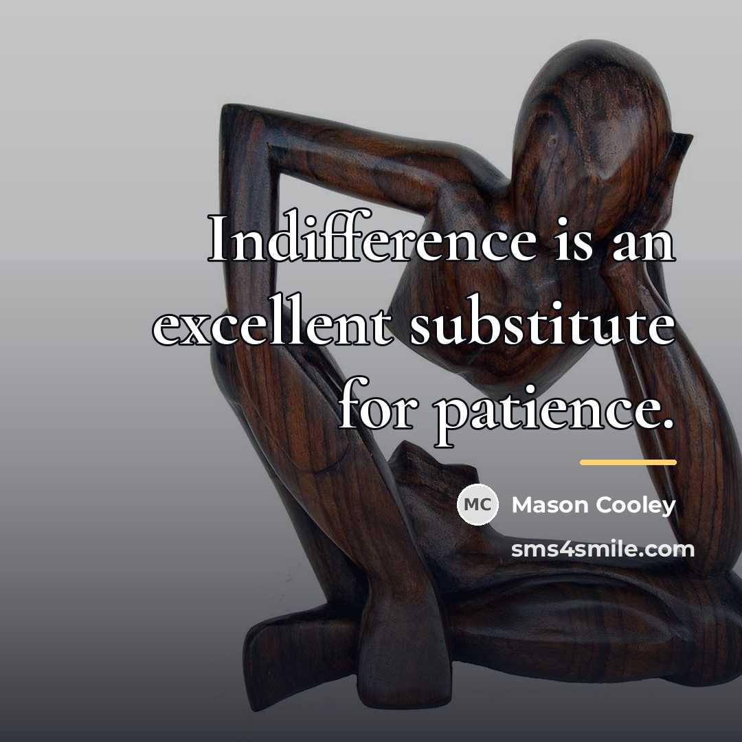 “Indifference is an excellent substitute for patience.…” quote by Mason Cooley