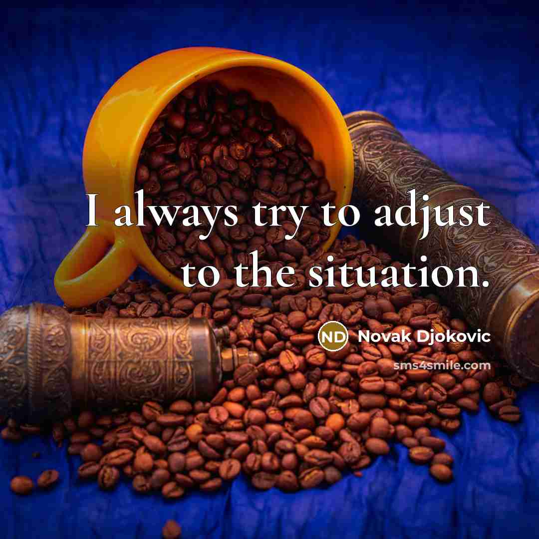 “I always try to adjust to the situation.” quote by Novak Djokovic