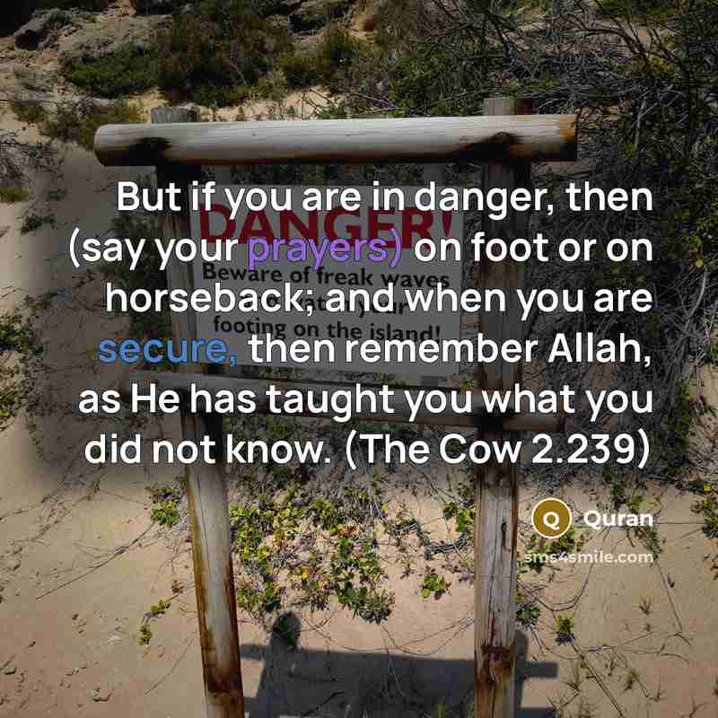 “But if you are in danger, then (say your prayers) on foot or on horseback; and when you are secure, then remember Allah, as He has taught you what you did not know. (The Cow 2.239)” quote by Quran