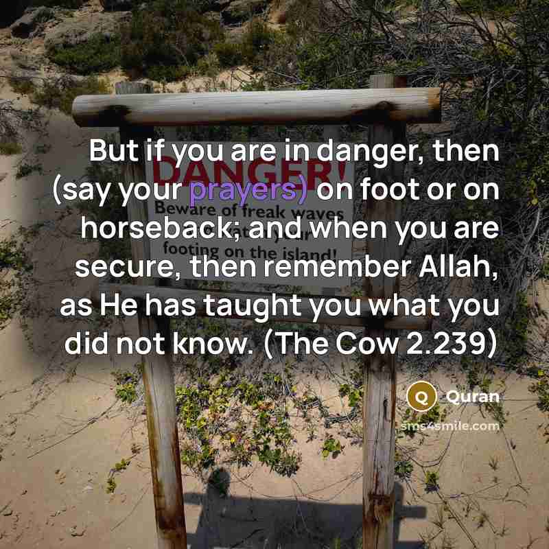 “But if you are in danger, then (say your prayers)…” quote by Quran