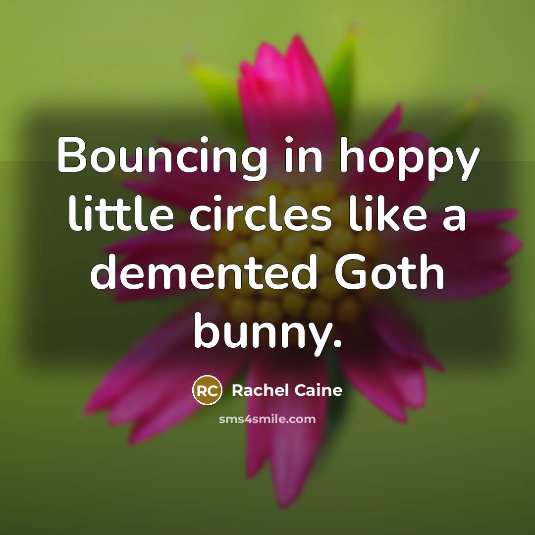 “Bouncing in hoppy little circles like a demented Goth bunny.” quote by Rachel Caine