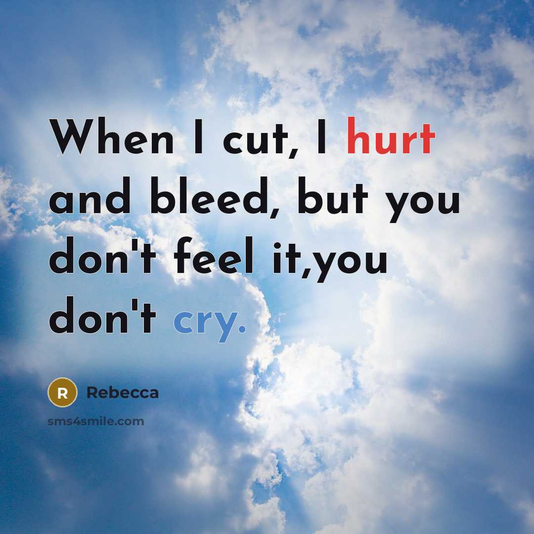 “When I cut, I hurt and bleed, but you don't…” quote by Rebecca