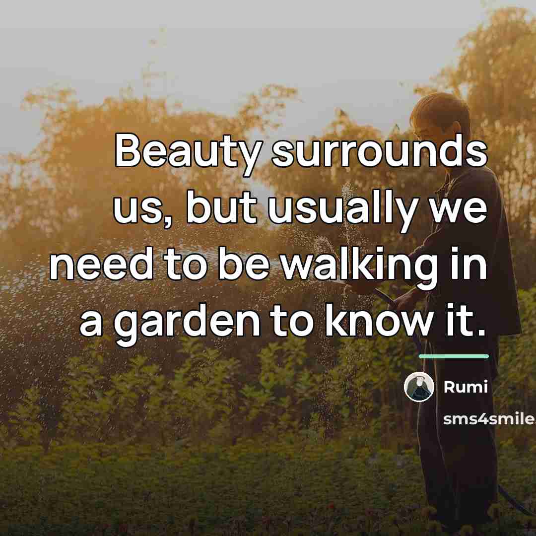 “Beauty surrounds us, but usually we need to be walking…” quote by Rumi