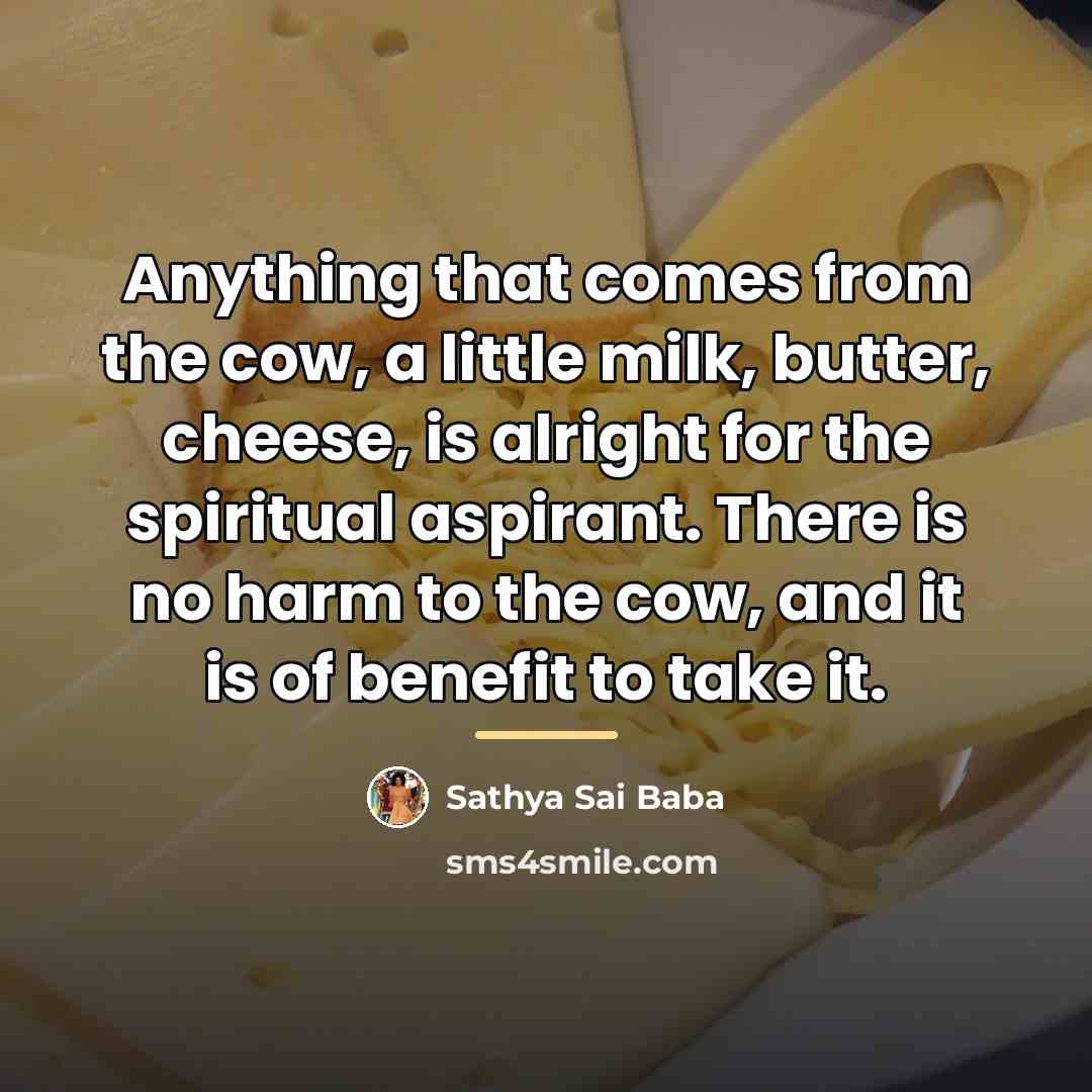“Anything that comes from the cow, a little milk, butter,…” quote by Sathya Sai Baba
