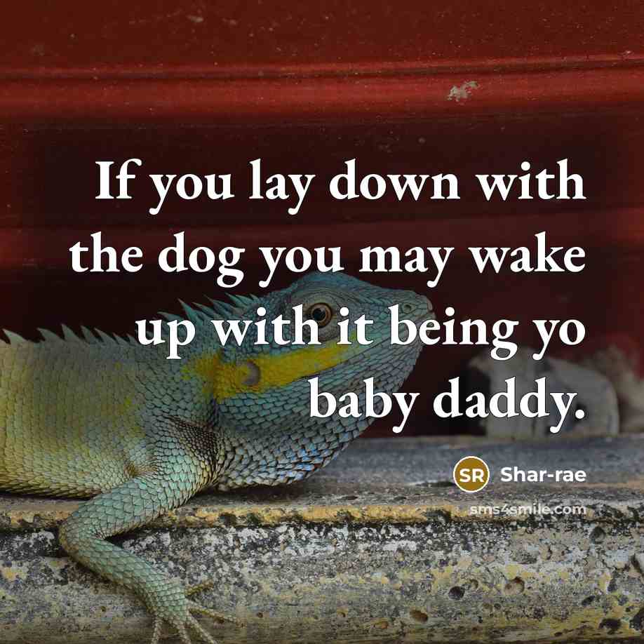 “If you lay down with the dog you may wake up with it being yo baby daddy.” quote by Shar-rae
