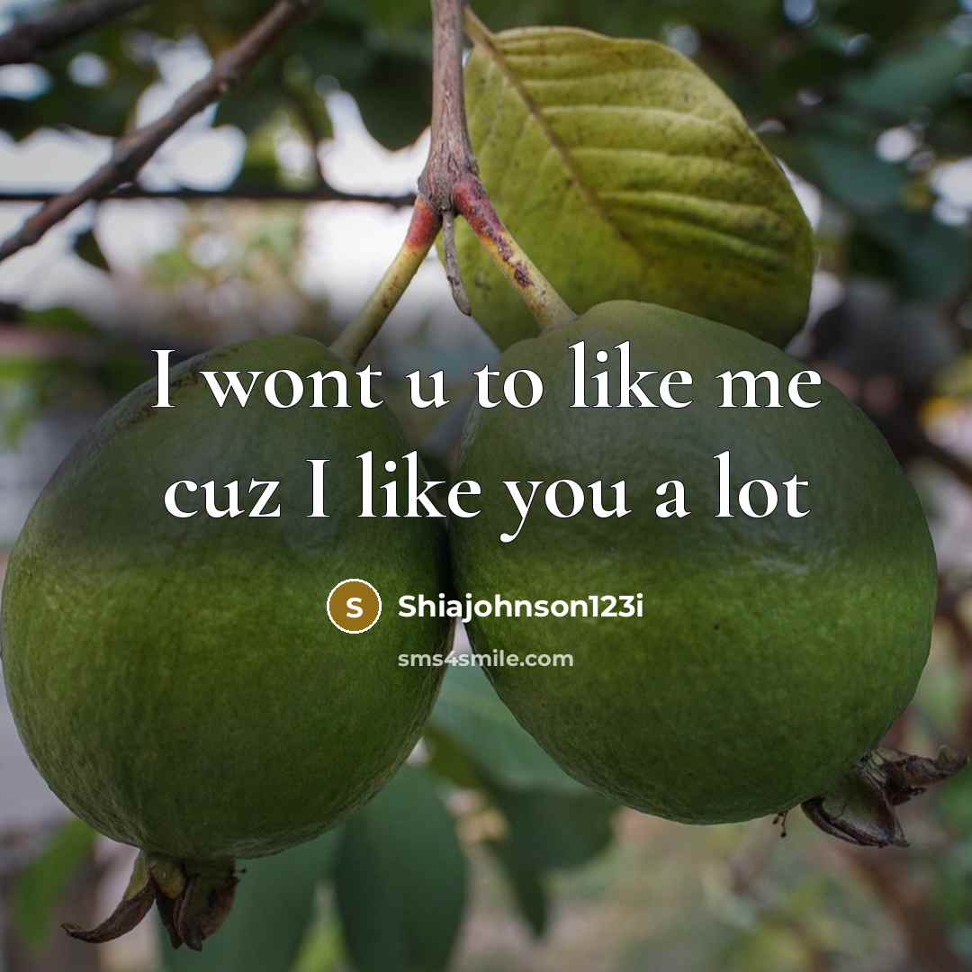 “I wont u to like me cuz I like you…” quote by Shiajohnson123i