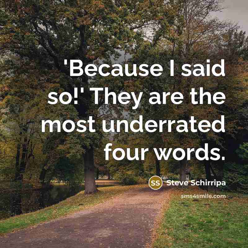 “'Because I said so!' They are the most underrated four…” quote by Steve Schirripa