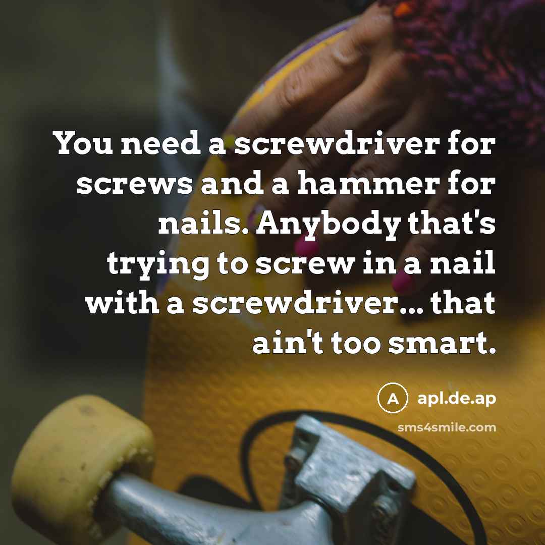 “You need a screwdriver for screws and a hammer for…” quote by apl.de.ap