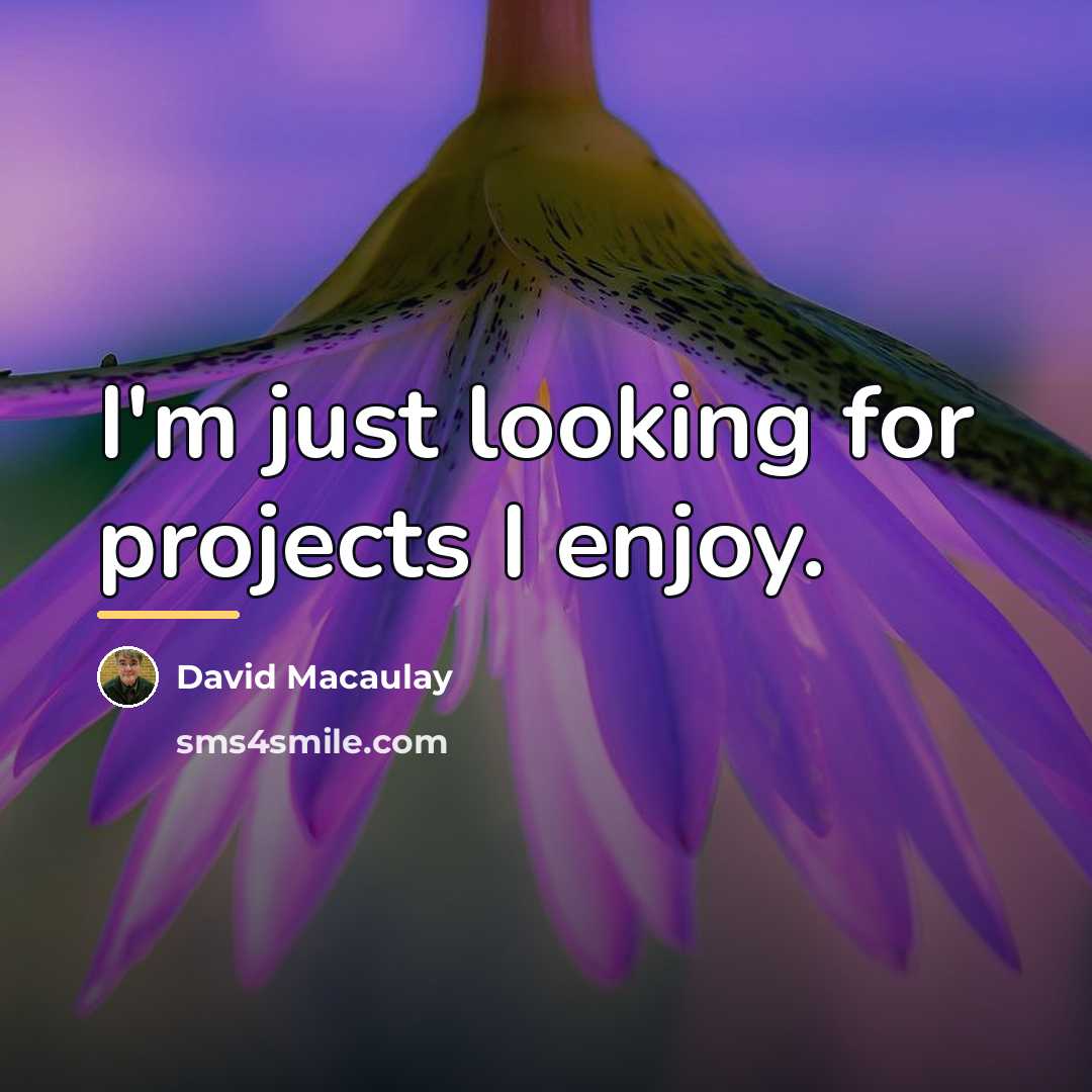 “I'm just looking for projects I enjoy.…” quote by David Macaulay