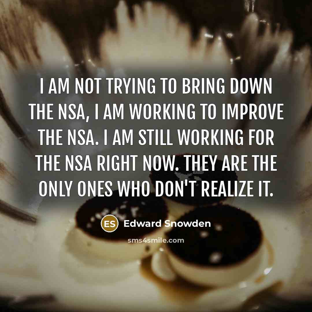 “I am not trying to bring down the NSA, I…” quote by Edward Snowden