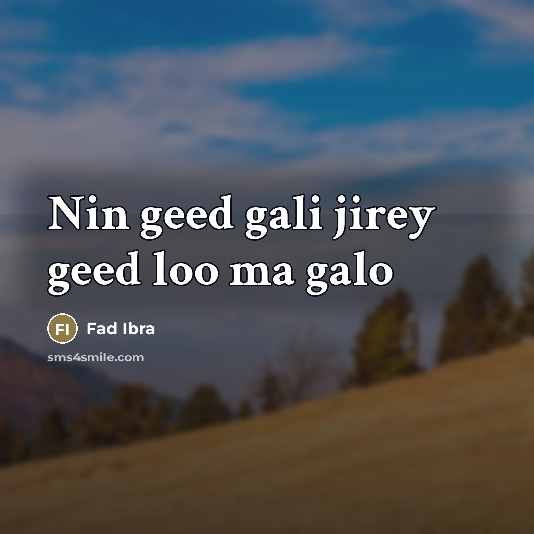 “Nin geed gali jirey geed loo ma galo” quote by Fad Ibra