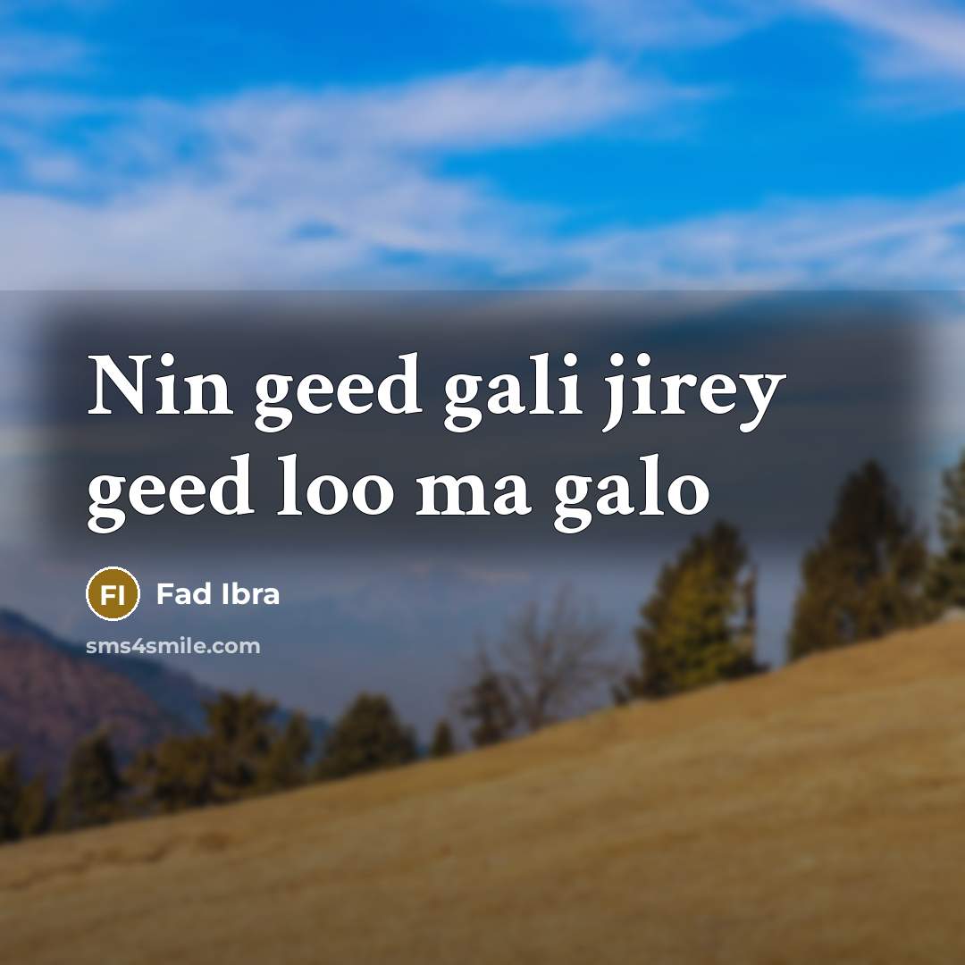 “Nin geed gali jirey geed loo ma galo” quote by Fad Ibra