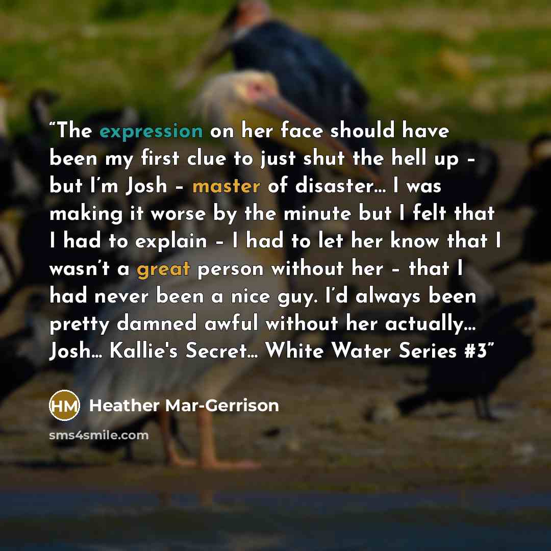 “The expression on her face should have been my first clue to just shut the hell up – but I’m Josh – master of disaster… I was making it worse by the minute but I felt that I had to explain – I had to let her know that I wasn’t a great person without her – that I had never been a nice guy. I’d…” quote by Heather Mar-Gerrison