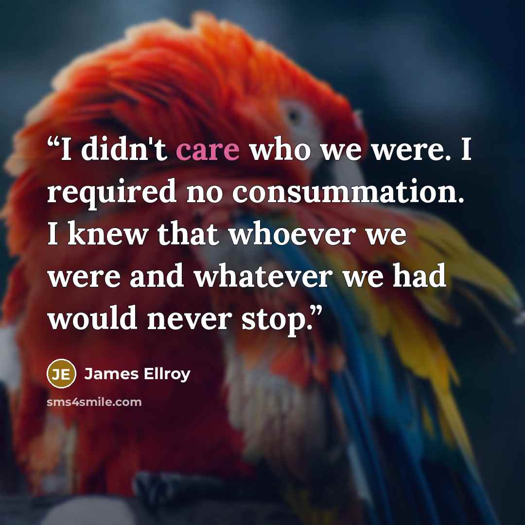 “I didn't care who we were. I required no consummation. I knew that whoever we were and whatever we had would never stop.” quote by James Ellroy