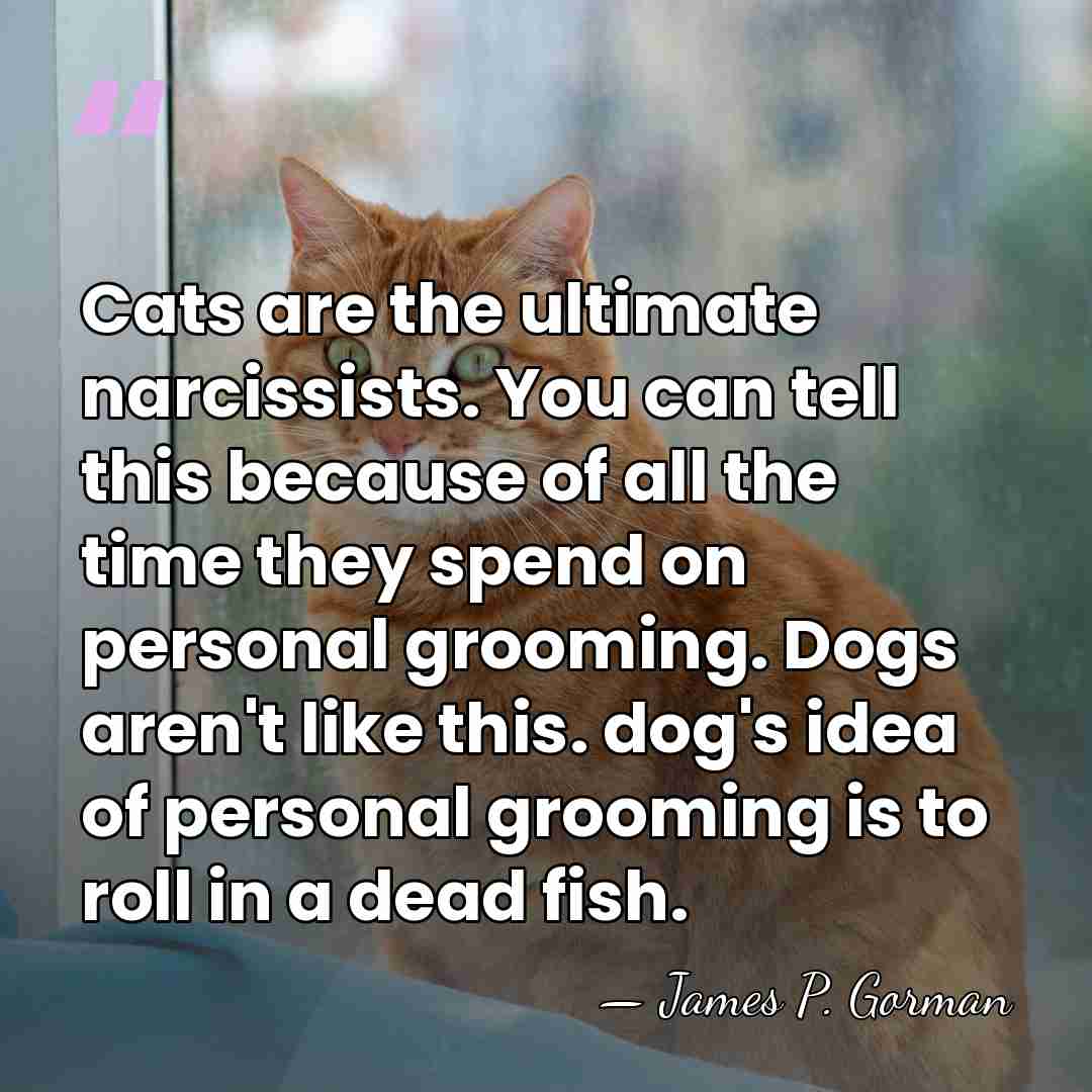 Cats are the ultimate narcissists. You can tell this because of all&hellip; - James P. Gorman