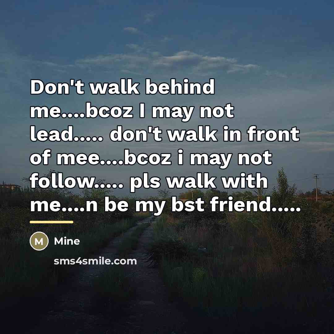 “Don't walk behind me....bcoz I may not lead..... don't walk…” quote by Mine
