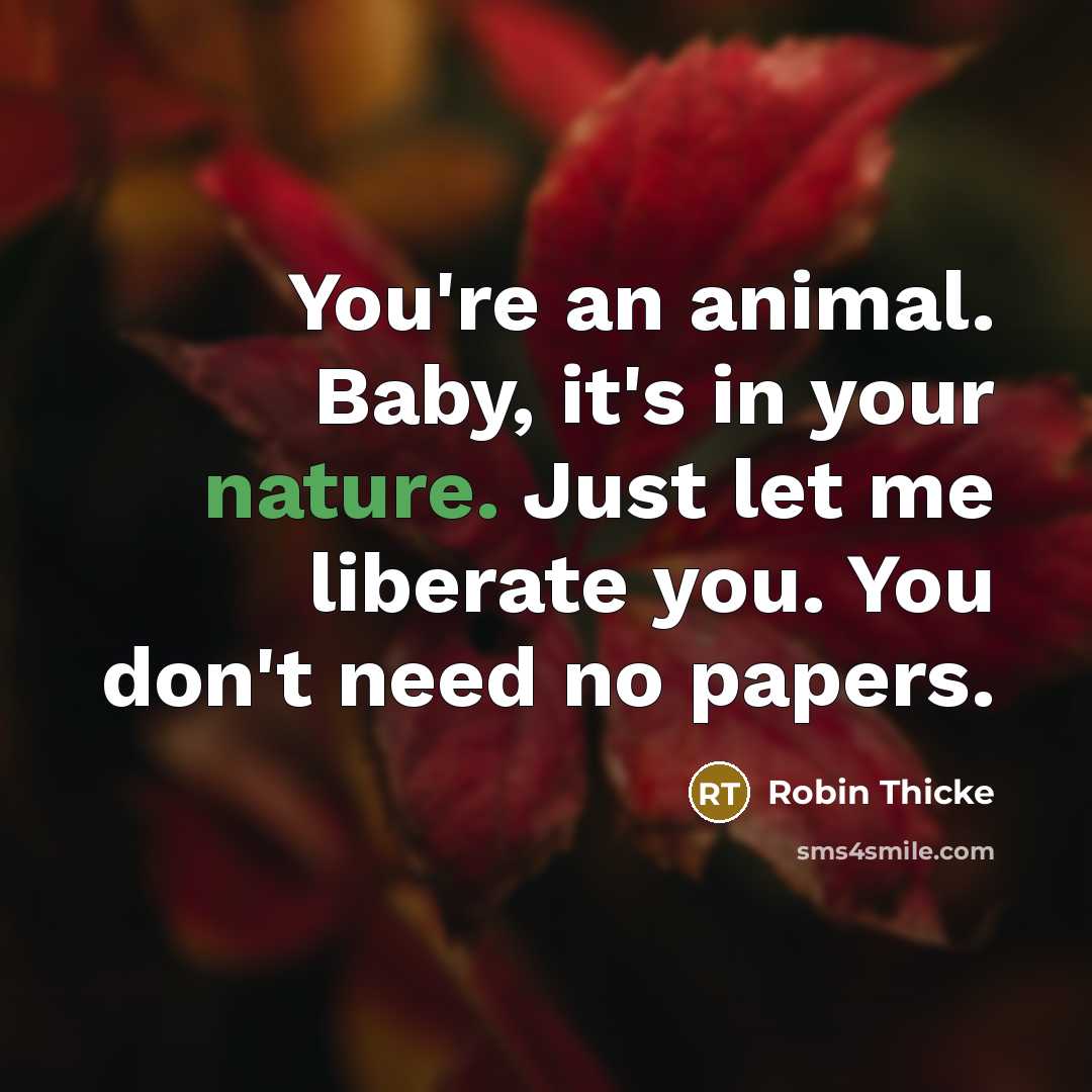 “You're an animal. Baby, it's in your nature. Just let…” quote by Robin Thicke